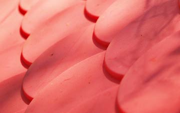 Toadmoor plastic roof costs